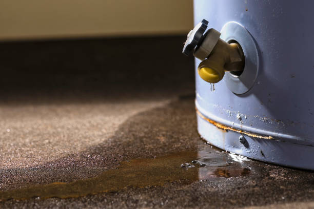 Best Flooded house restoration  in Richland Hills, TX