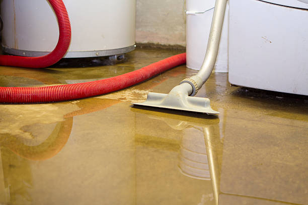 Best Professional water damage repair  in Richland Hills, TX