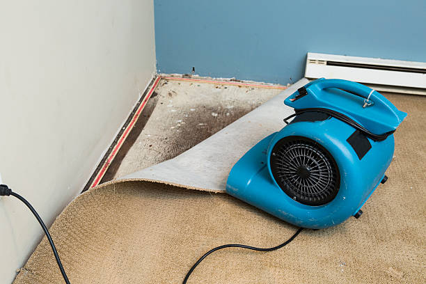 Carpet water damage restoration in TX